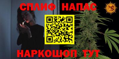 молекула духа Среднеуральск