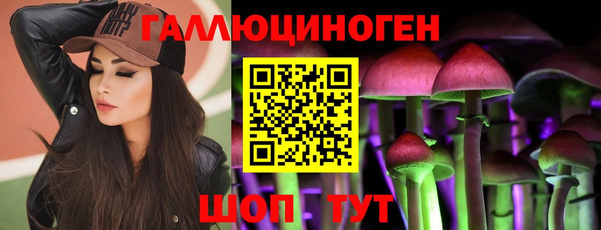 где купить наркотик  Галлюциногенные грибы Magic Shrooms  Вход с VPN  Новоалександровск 